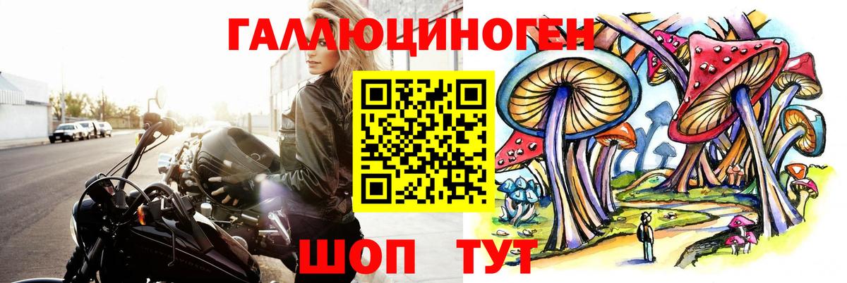 Псилоцибиновые грибы прущие грибы Новошахтинск